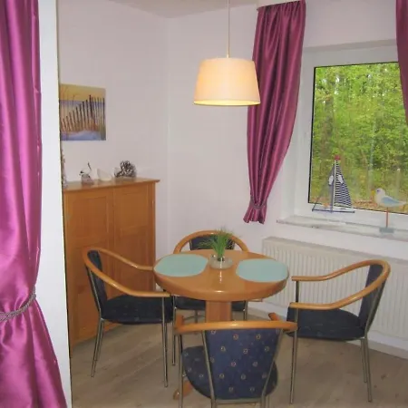 Seepferdchen Direkt Am