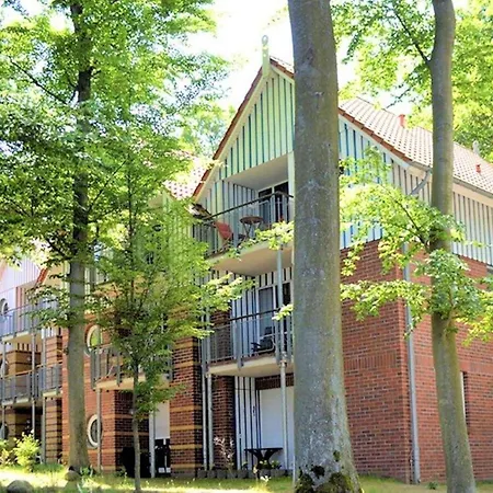 Seepferdchen Direkt Am *